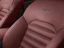 Ādas salona apdare GT/ sarkans